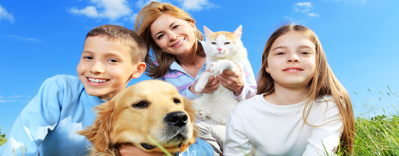 Yaşamaya Hakları var..