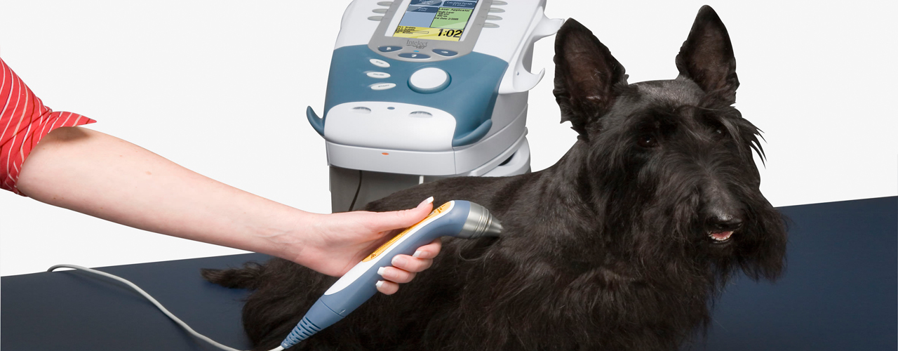 Petyum Ayrıcalıktır..